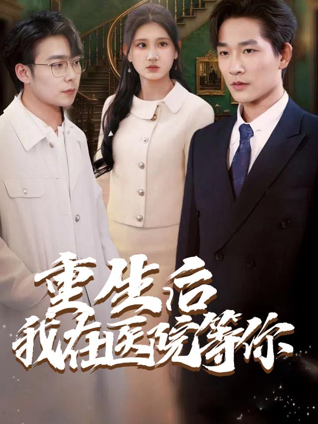 重生后我在医院等你封面