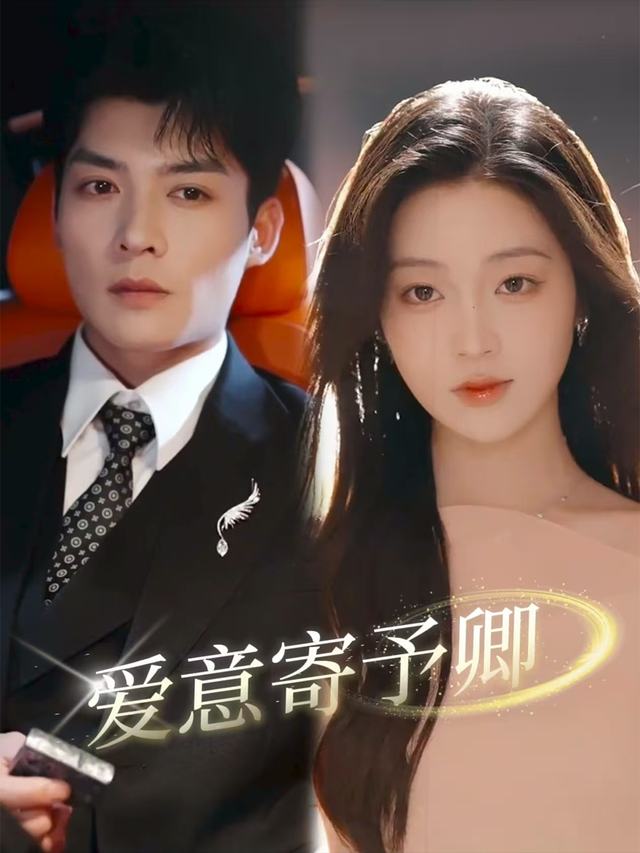 爱意寄予卿封面