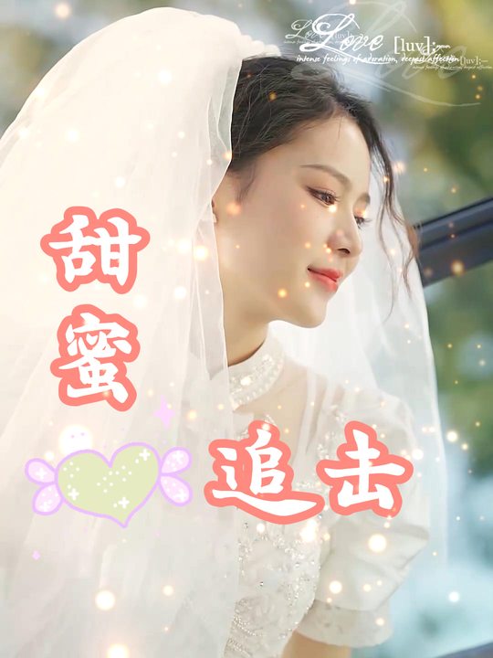 甜蜜追击封面