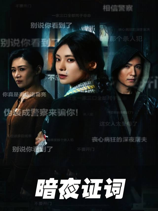 暗夜证词封面