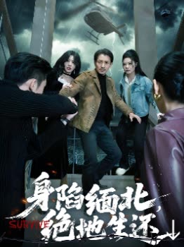 身陷缅北,绝地生还↓封面