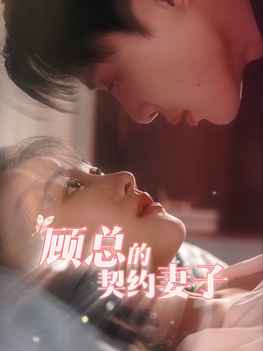 顾总的契约妻子封面