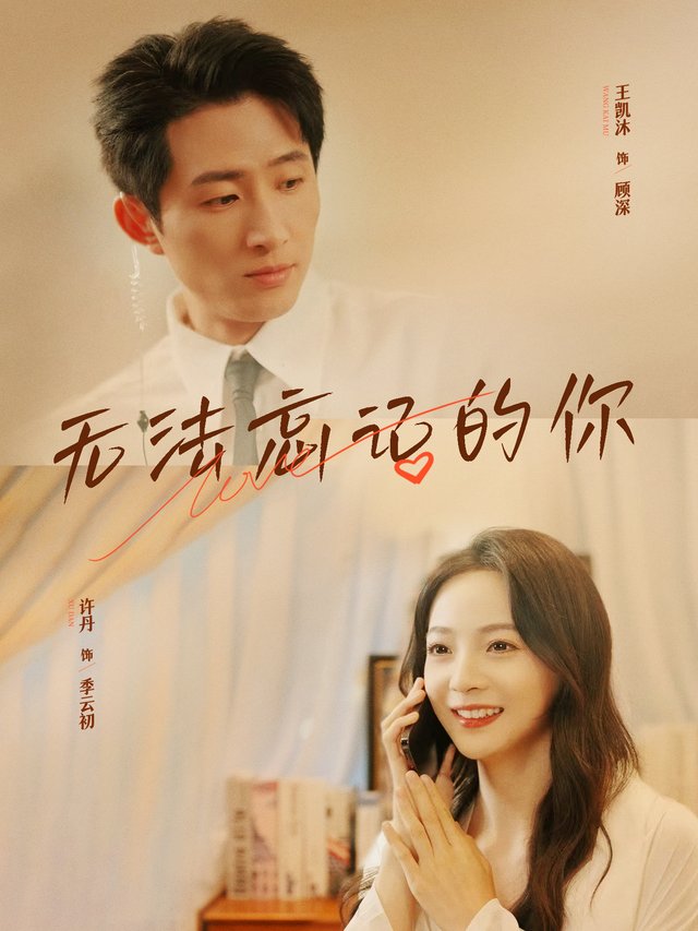 无法忘记的你封面