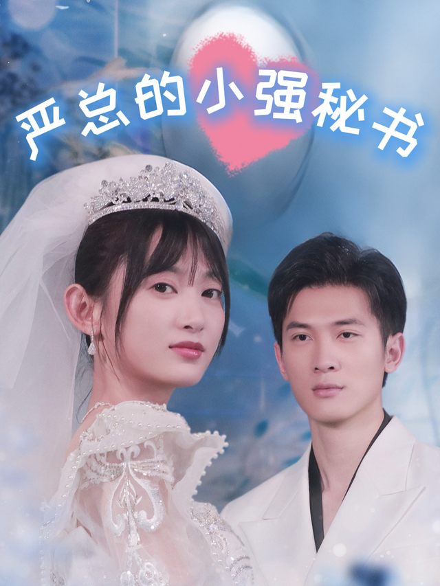 严总的小强秘书封面