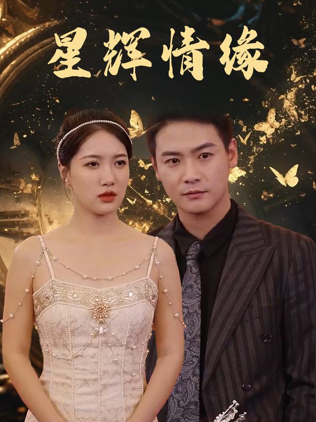 星辉情缘封面