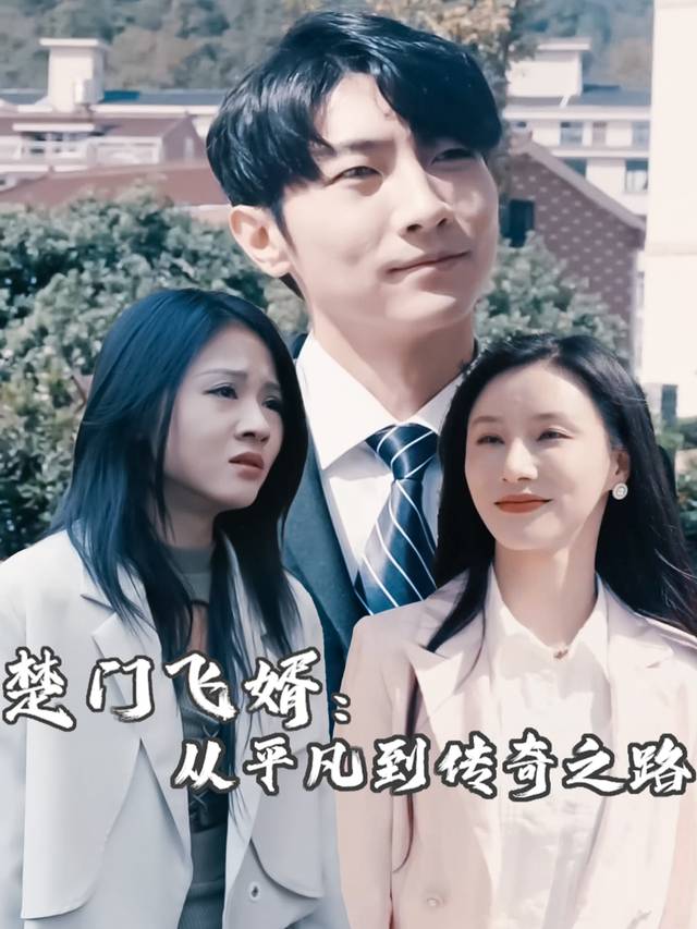 楚门飞婿:从平凡到传奇之路封面