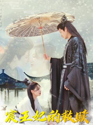 宸王妃的救赎封面