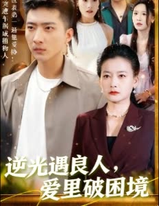 逆光遇良人,爱里破困境封面
