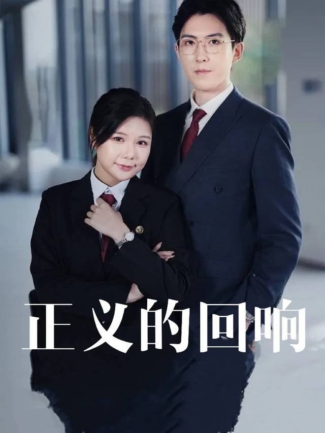 正义的回响封面