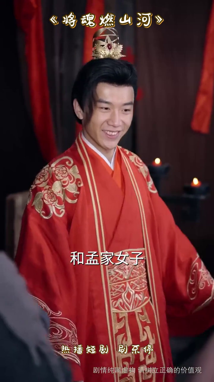 将魂燃山河封面