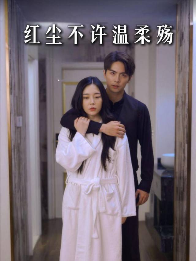 红尘不许温柔殇封面