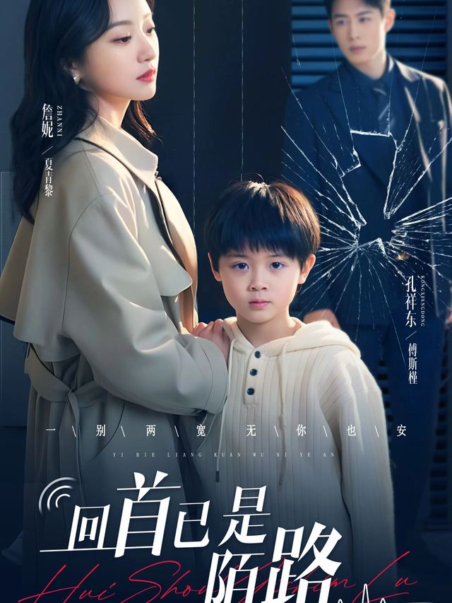 回首已是陌路封面
