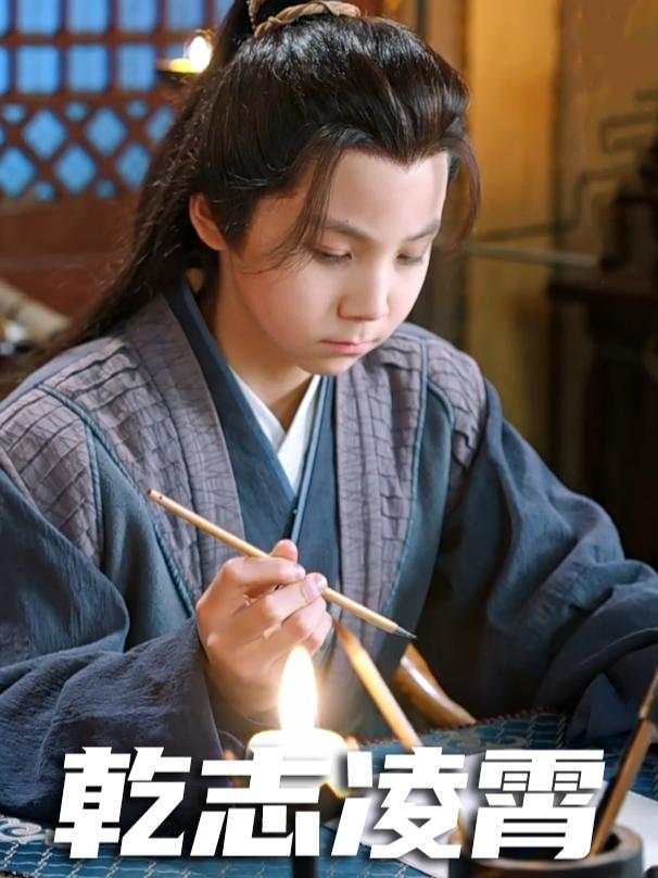 乾志凌霄封面
