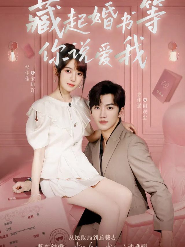 藏起婚书等你说爱我封面