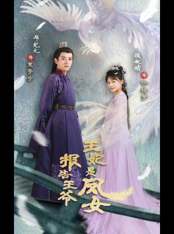 报告王爷王妃是凤女封面