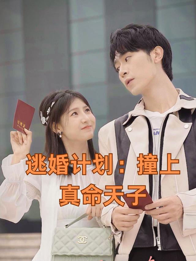 逃婚计划:撞上真命天子封面