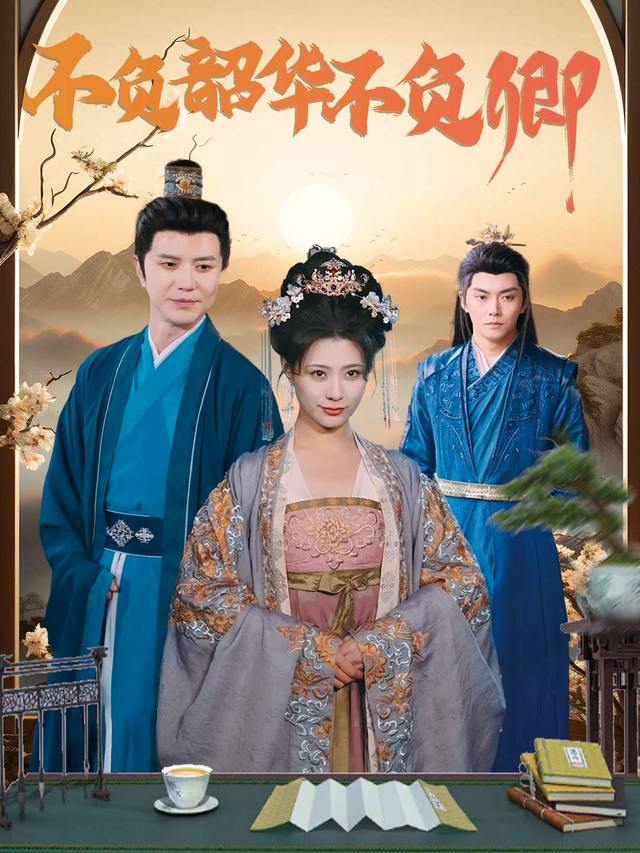不负韶华,不负卿封面