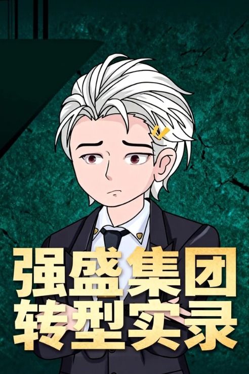强盛集团转型实录封面