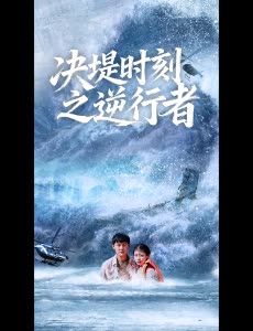 决堤时刻之逆行者封面