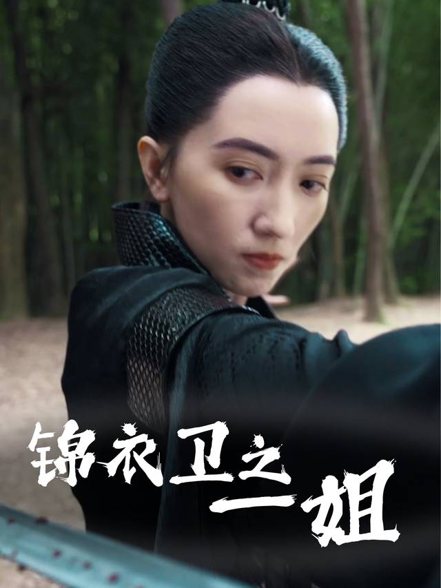 锦衣卫一姐封面