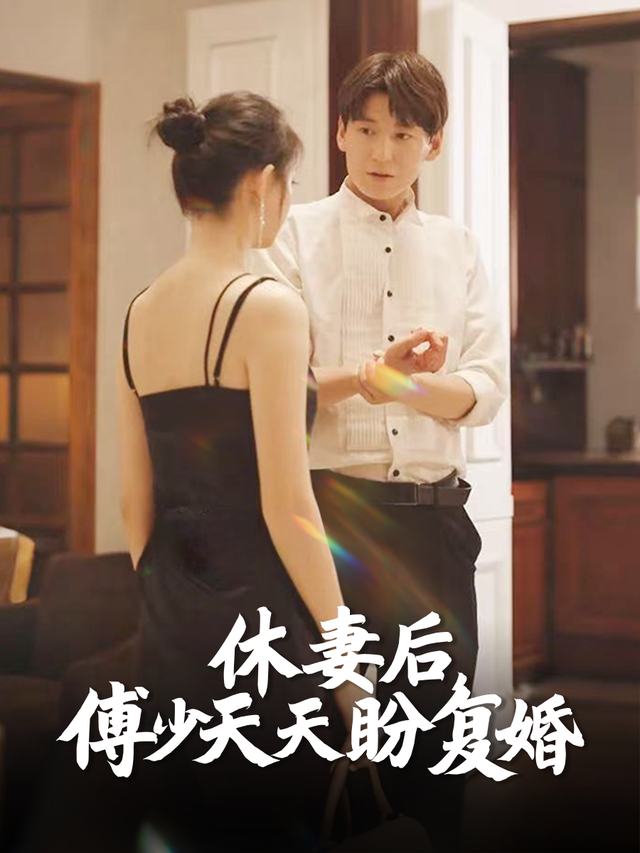 休妻后,傅少天天盼复婚封面