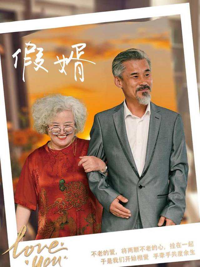 假婿封面