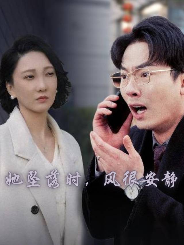 她坠落时,风很安静封面