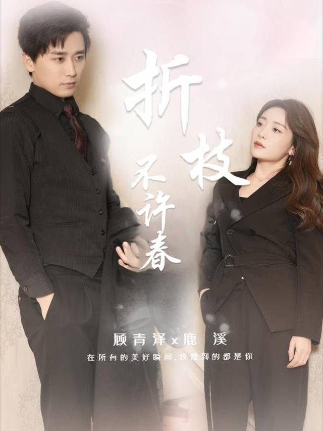 折枝不许春封面