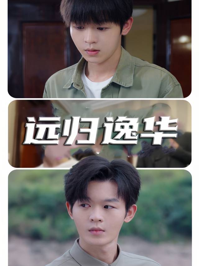 远归逸华封面