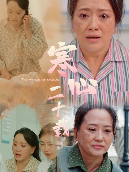 寒心二十载封面