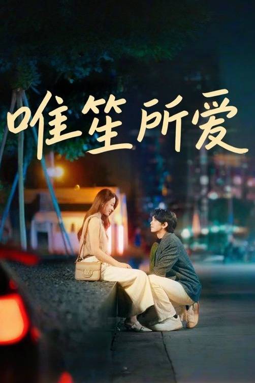 唯笙所爱封面