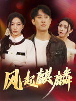 风起麒麟封面