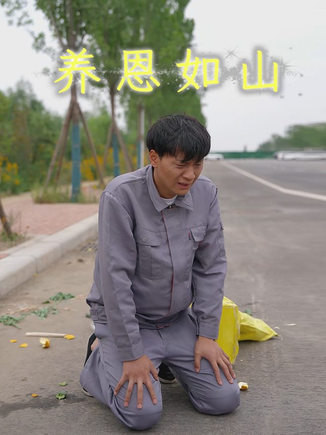 养恩如山封面