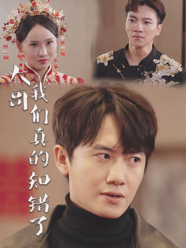 大哥我们真的知错了封面