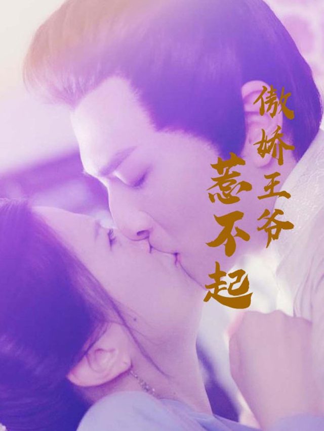 傲娇王爷:惹火追爱记封面