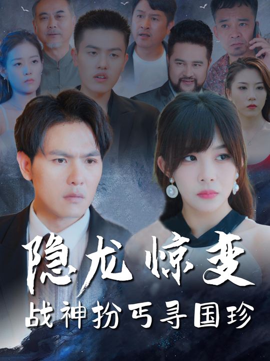 隐龙惊变战神扮丐寻国珍封面