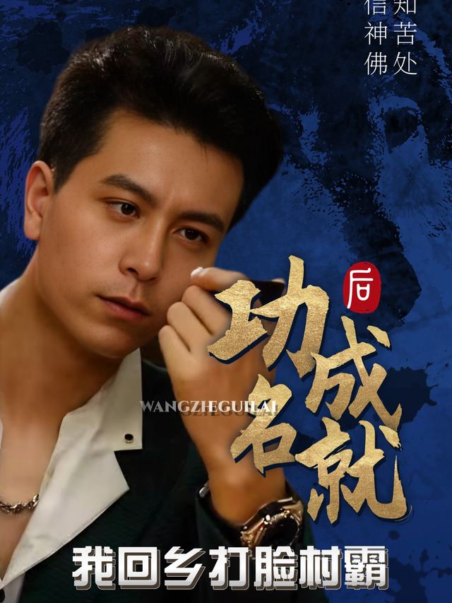 功成名就后我回乡打脸村霸封面