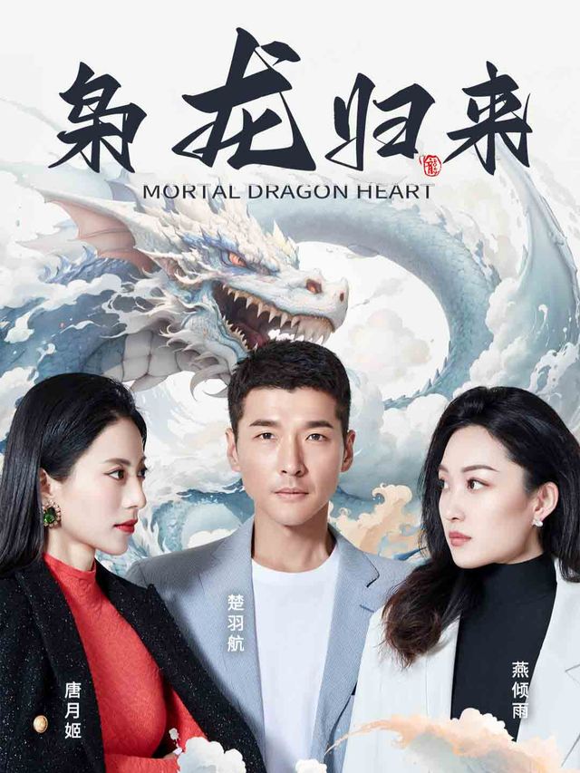 枭龙归来封面