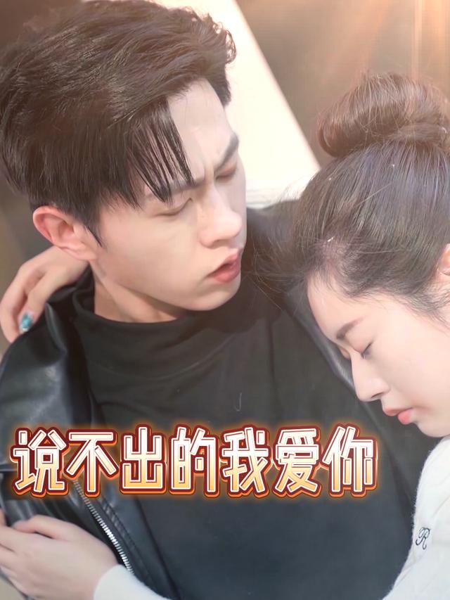 说不出的我爱你封面
