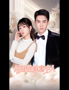 闪婚恰逢意中人封面