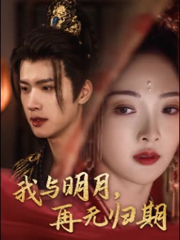 我与明月,再无归期封面