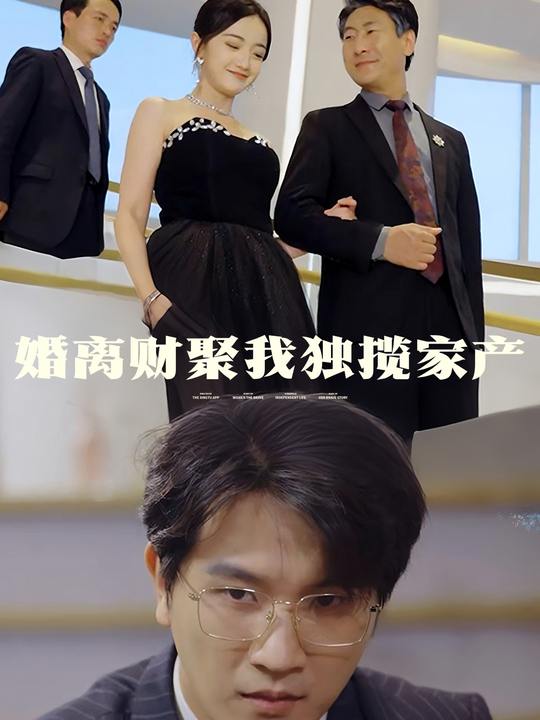 婚离财聚我独揽家产封面