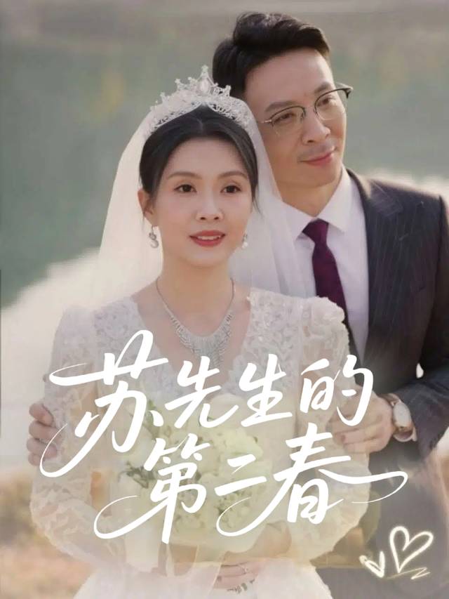 苏先生的第二春封面