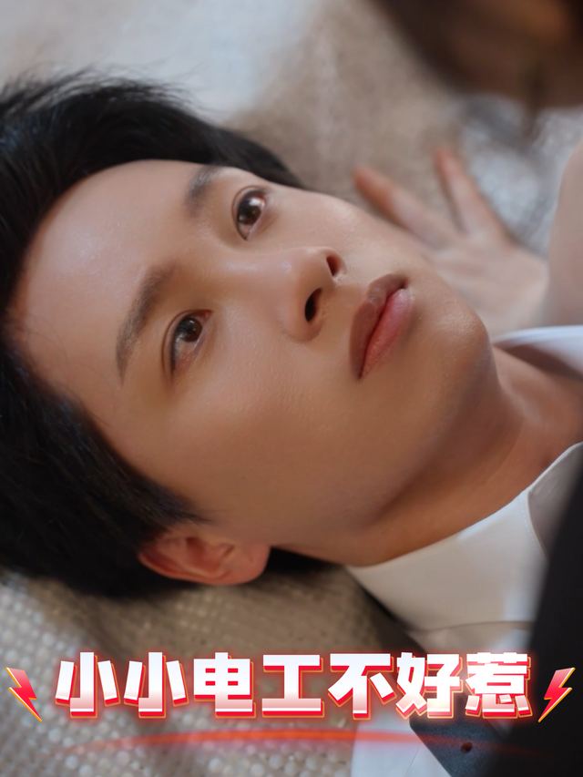 小小电工不好惹封面