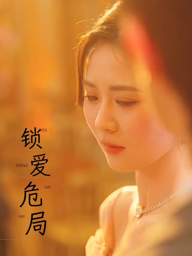 锁爱危局封面