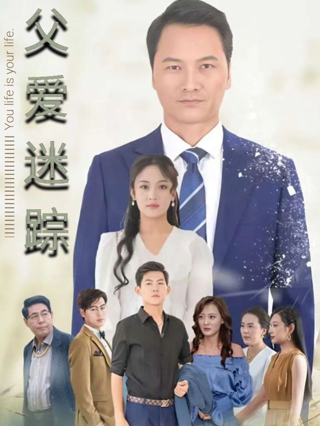 父爱迷踪封面