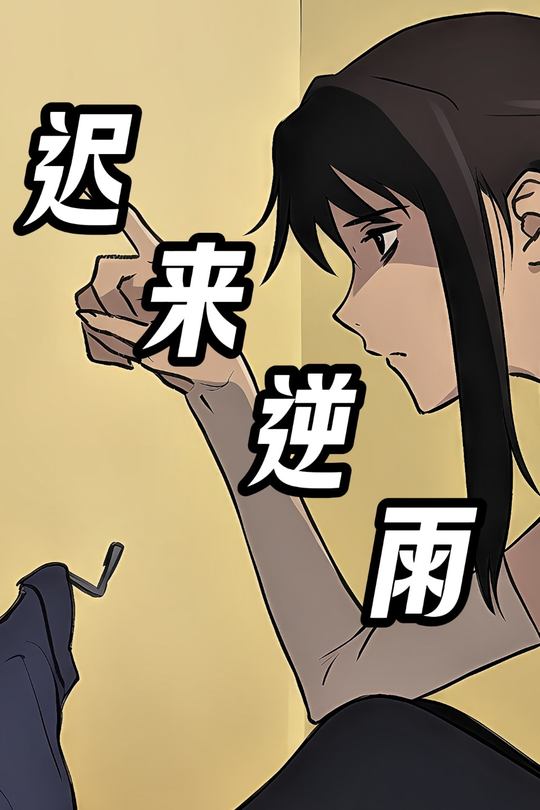 迟来逆雨封面
