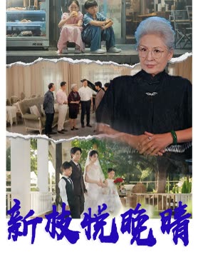 新枝悦晚晴封面