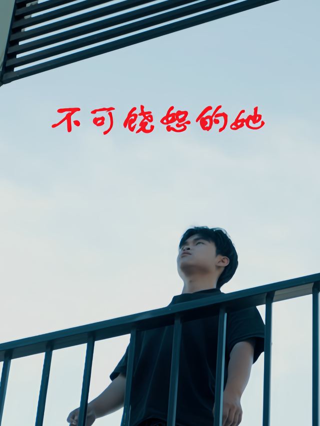 不可饶恕的她封面