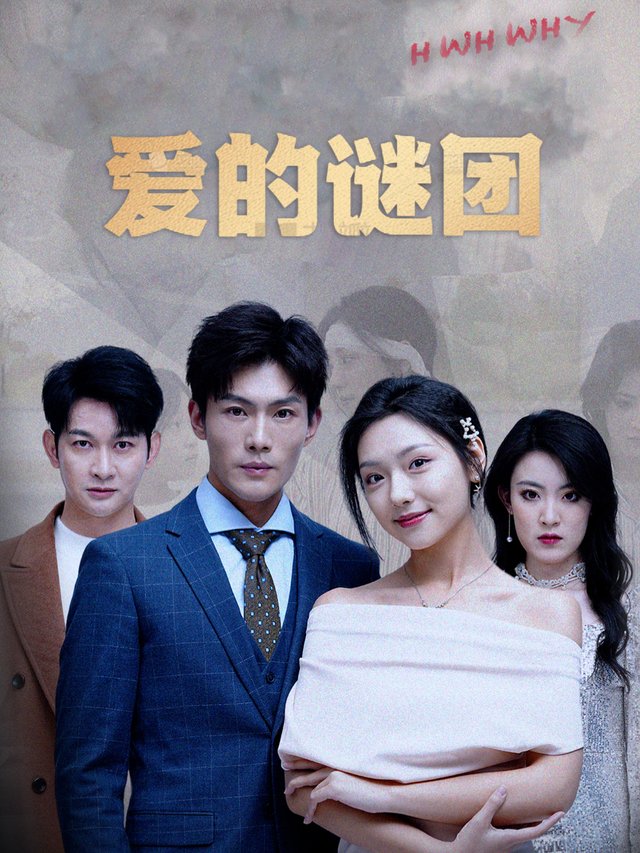 爱的谜团封面